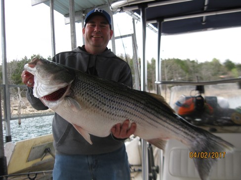 Nice Striped Bass